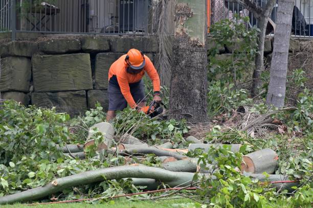 Best Commercial Tree Services  in State College, PA